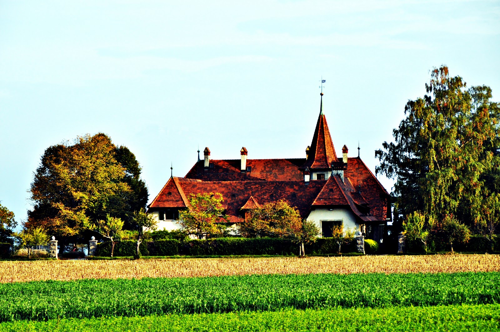 A large traditional Swiss house with a steep roof standing alone in green farmland
