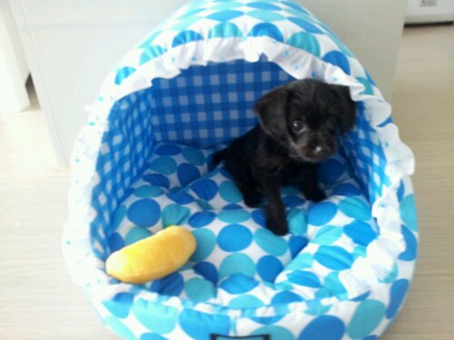 20120629_092244.jpg image