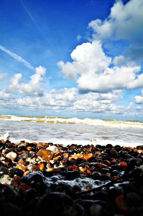 47052_444225019081_1440217_n