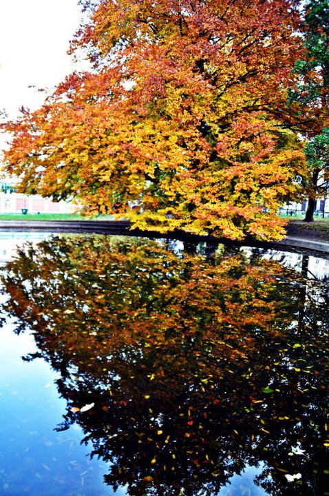 74045_457481429081_2305195_n