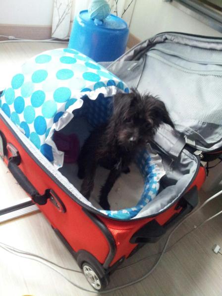 341035_10151163686574082_1563100970_o