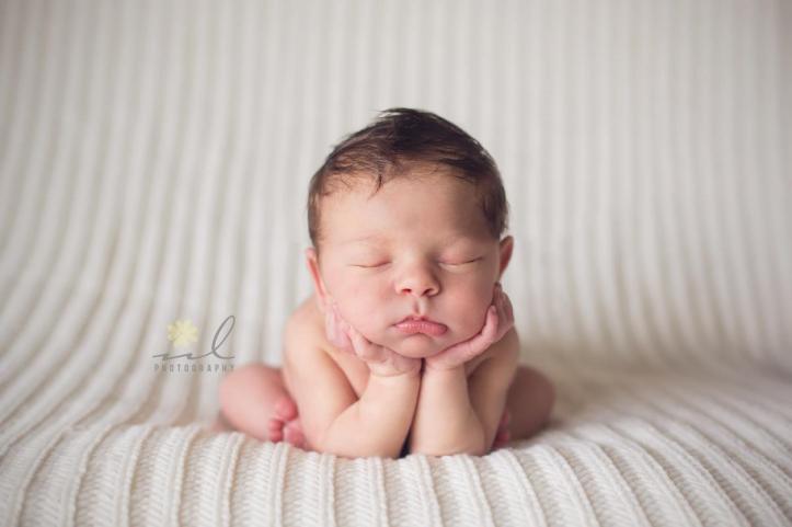 921357_374489079335075_535877394_o