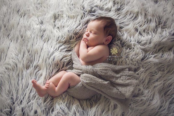 921459_375036632613653_775147580_o