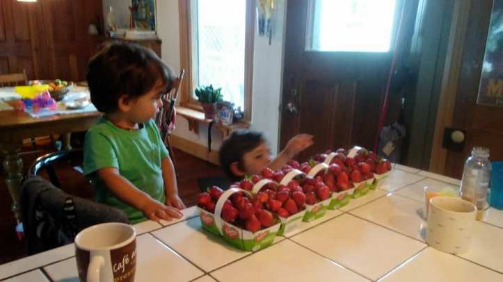 19366554_1856550741266004_5964707718190279303_n