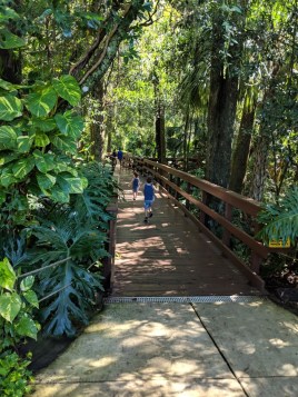 MVIMG_20180821_104842