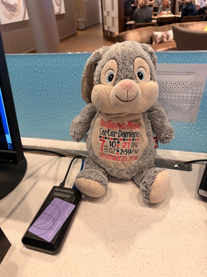 Bun Bun the stuffed bunny sitting at the Springhill Suites front desk helping make room keys — Avilene Mae Carter Damiano's beloved stuffed animal on her solo hotel stay.