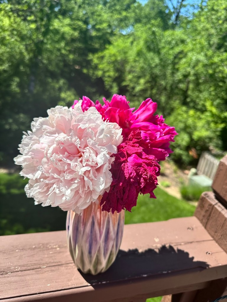 Pink and magenta peonies in a glass vase on the back deck — Nicole's favorite flower blooming beautifully for whoever comes next.
