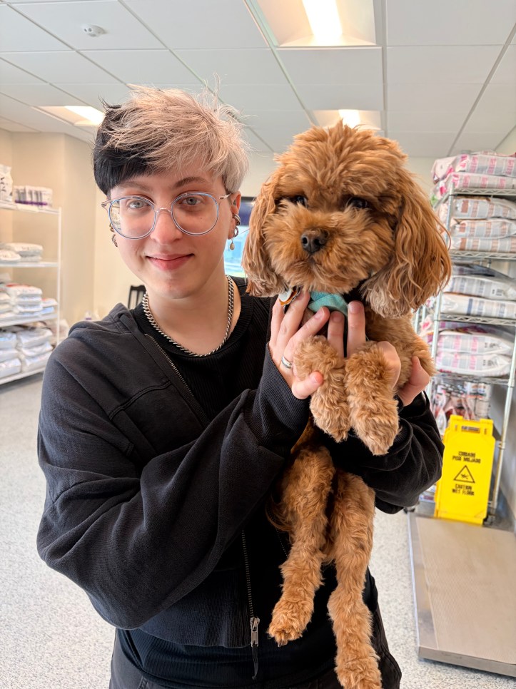 A smiling veterinary staff member with short blonde and black hair and glasses holds a fluffy golden Cavapoo dog at Overland Park Veterinary Center.