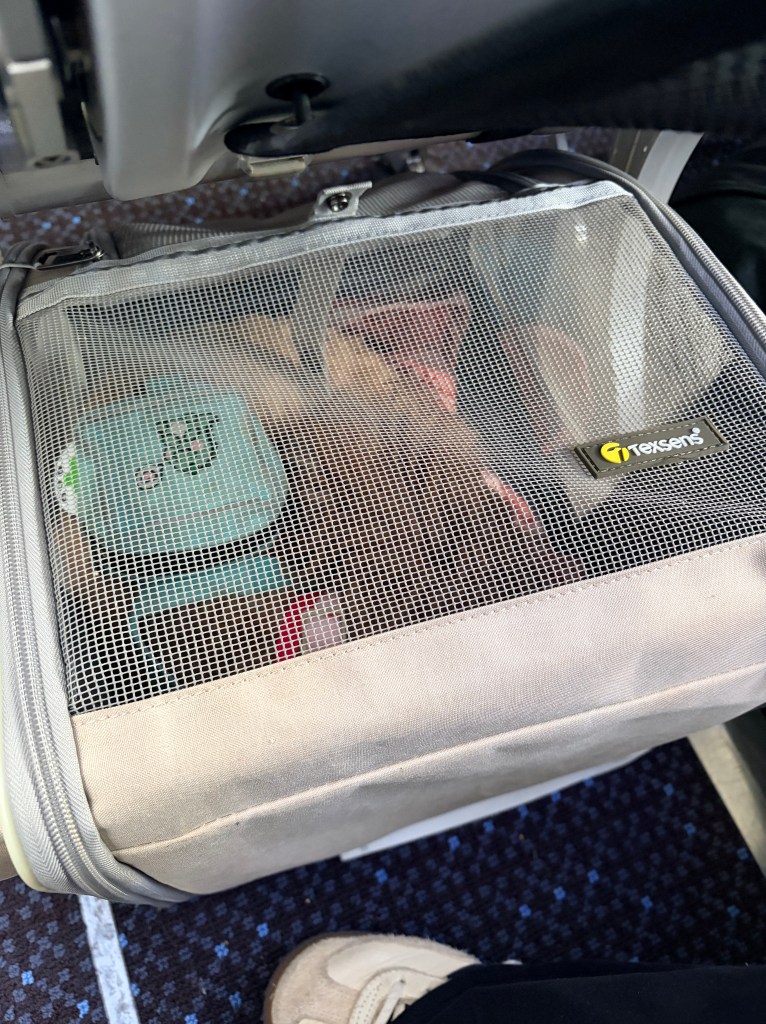 A small golden Cavapoo visible through the mesh window of a gray Texsens pet carrier placed under an airplane seat.
