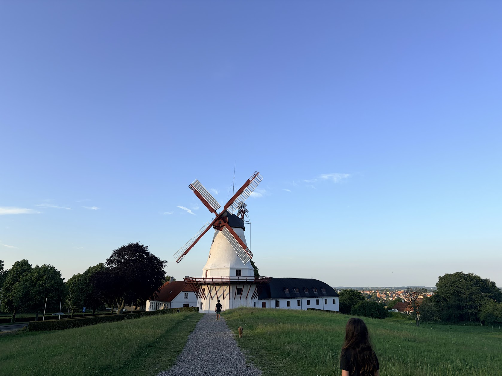 An old white windmill standing on a green rampart in Denmark under a clear evening sky