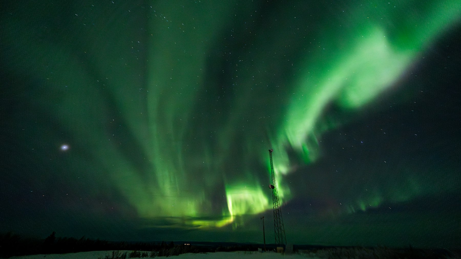 Green aurora borealis filling the night sky over interior Alaska
