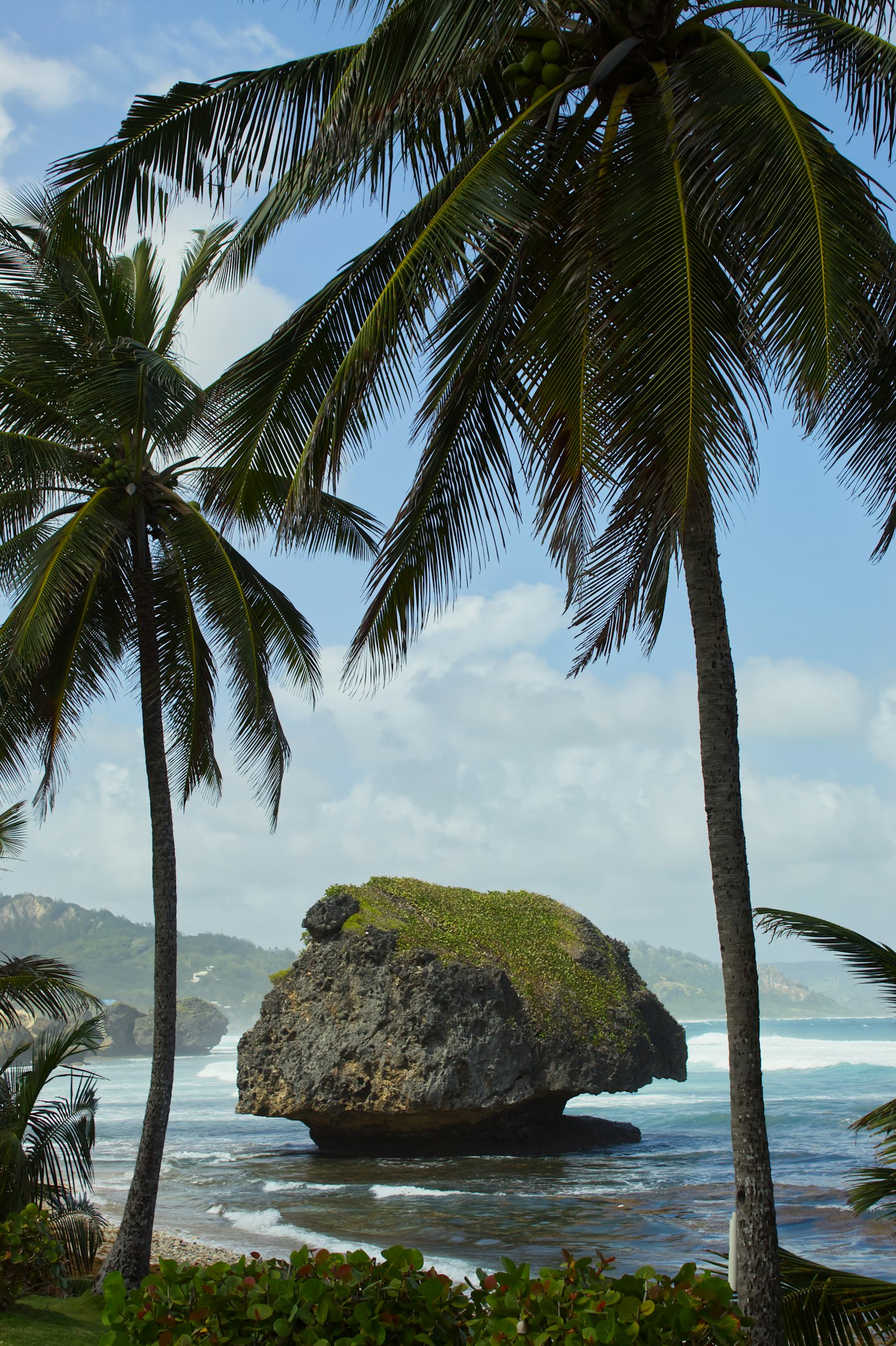 Palm trees framing a large boulder standing in the surf at Bathsheba on the Atlantic coast of Barbados