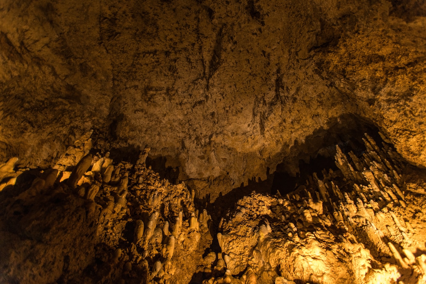 Stalactites and stalagmites lit inside the limestone chambers of Harrison Cave in central Barbados