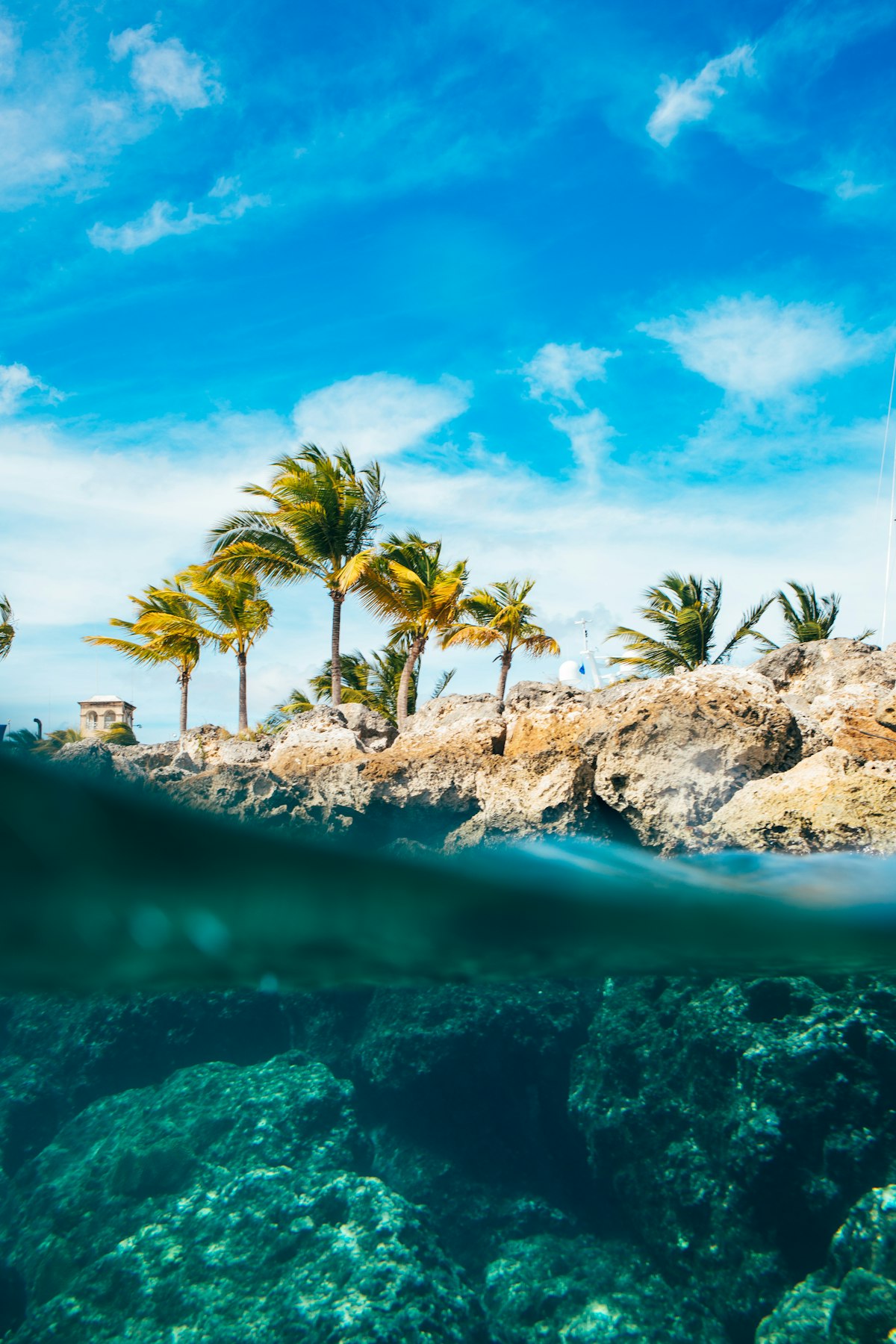 The low green coastline of Barbados seen from the water on a bright day