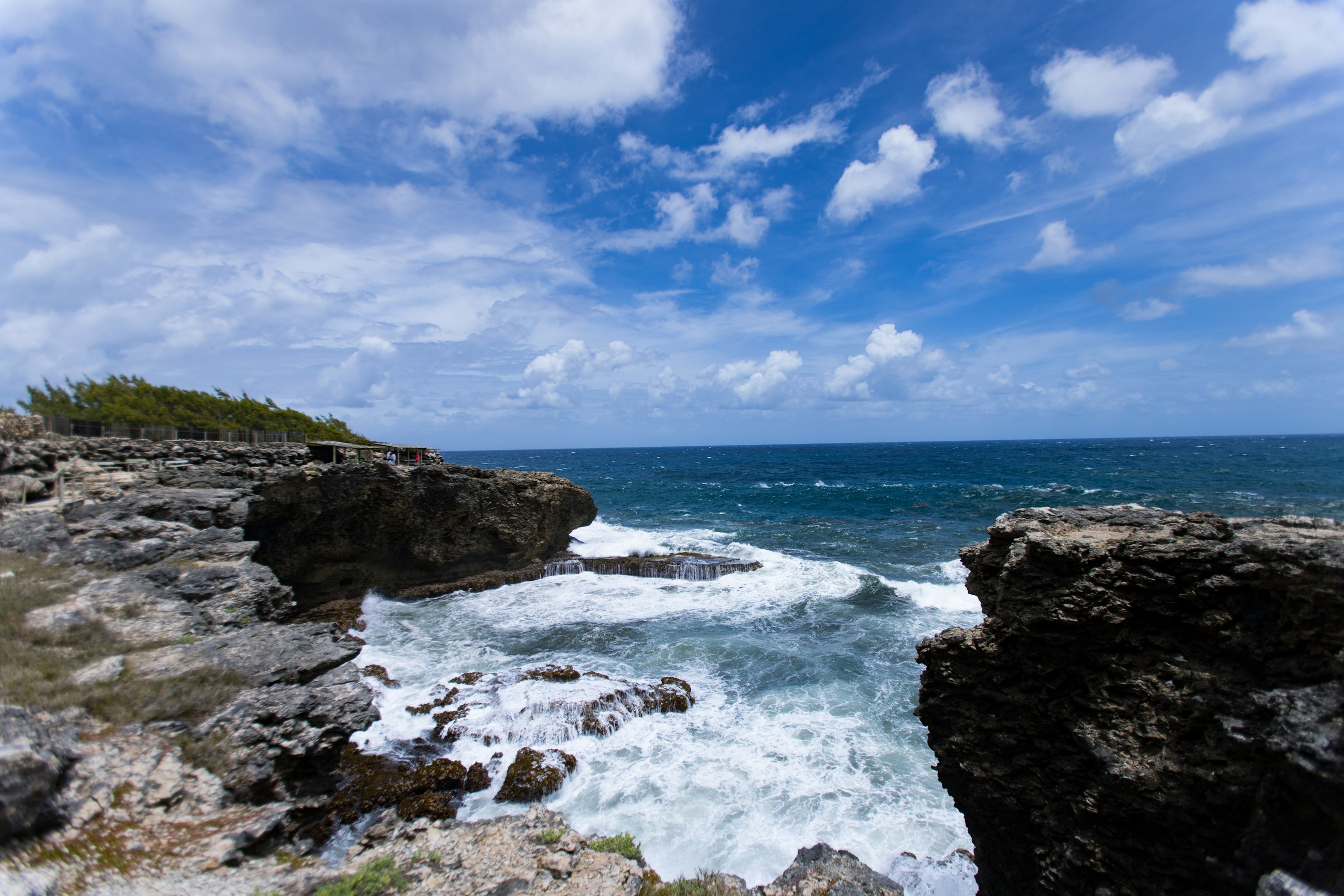 Atlantic waves breaking against the rock cliffs at Animal Flower Cave on the north point of Barbados