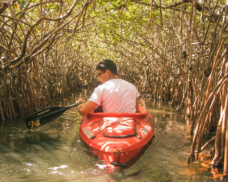 A man paddling a kayak through mangroves near Hopkins, Belize