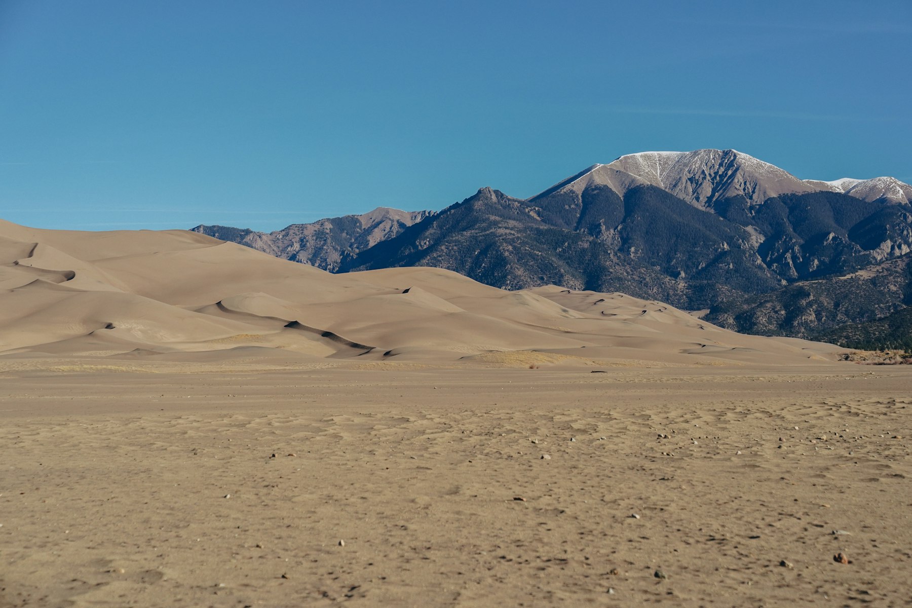 Sand dunes rising in front of the Sangre de Cristo mountains at Great Sand Dunes