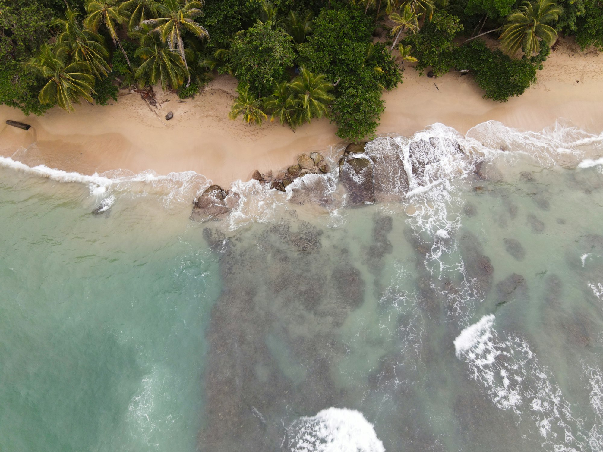 A palm fringed Caribbean beach on the Puerto Viejo coast of Costa Rica from above