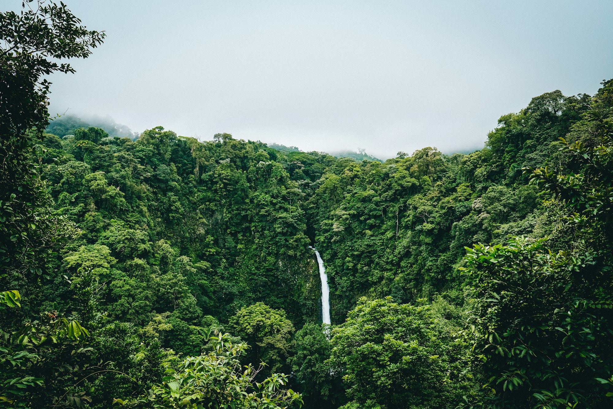 A tall waterfall dropping into a valley of dense green Costa Rican rainforest