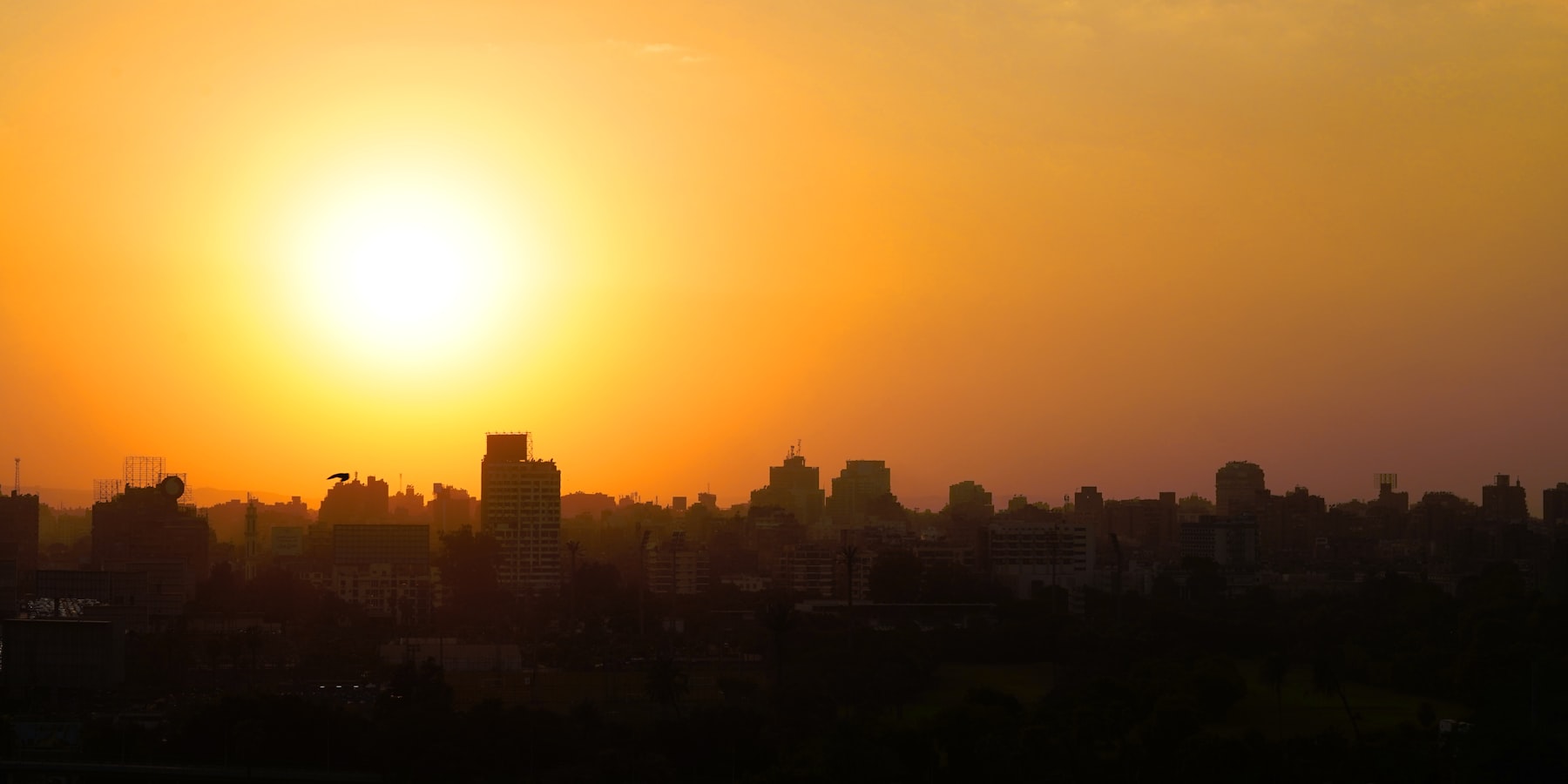 The sun setting over the tall buildings of Cairo Egypt
