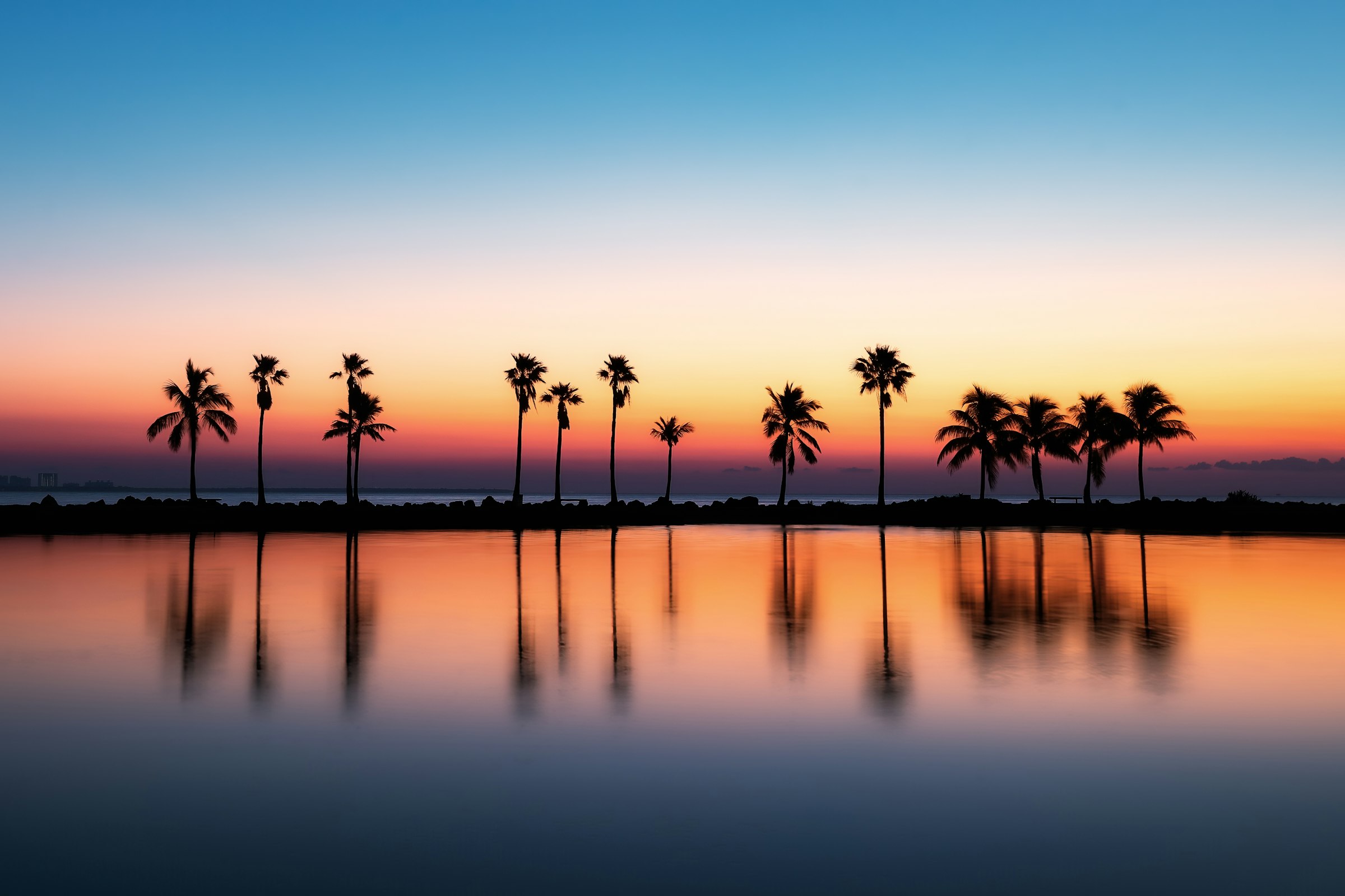 A row of palm trees silhouetted against a Florida sunset over calm water