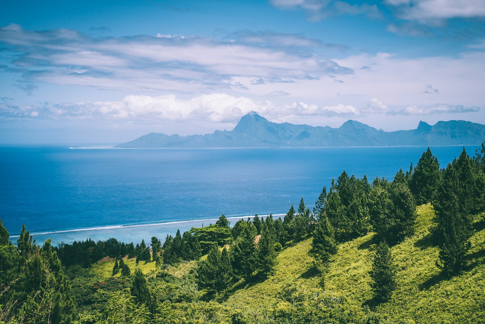 Trees on a green mountainside above the ocean near Papeete on Tahiti