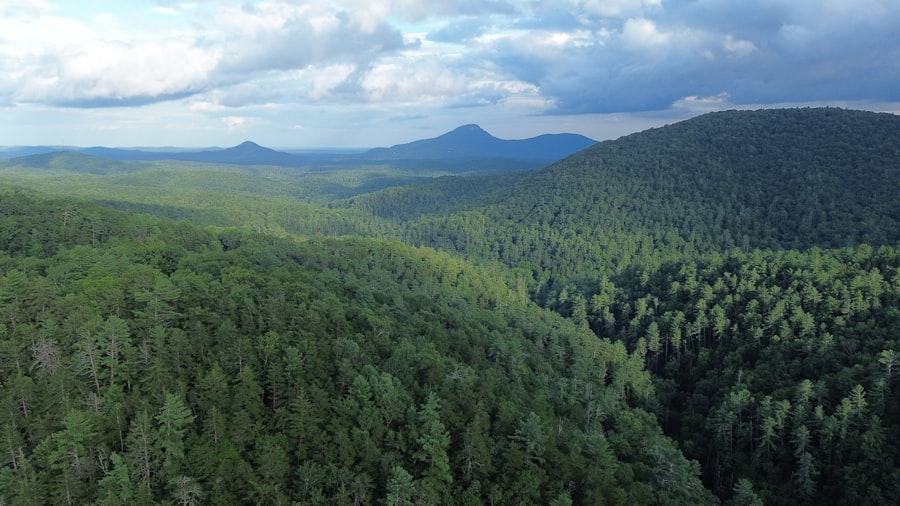 Dense green forest covering the hills around Helen in north Georgia