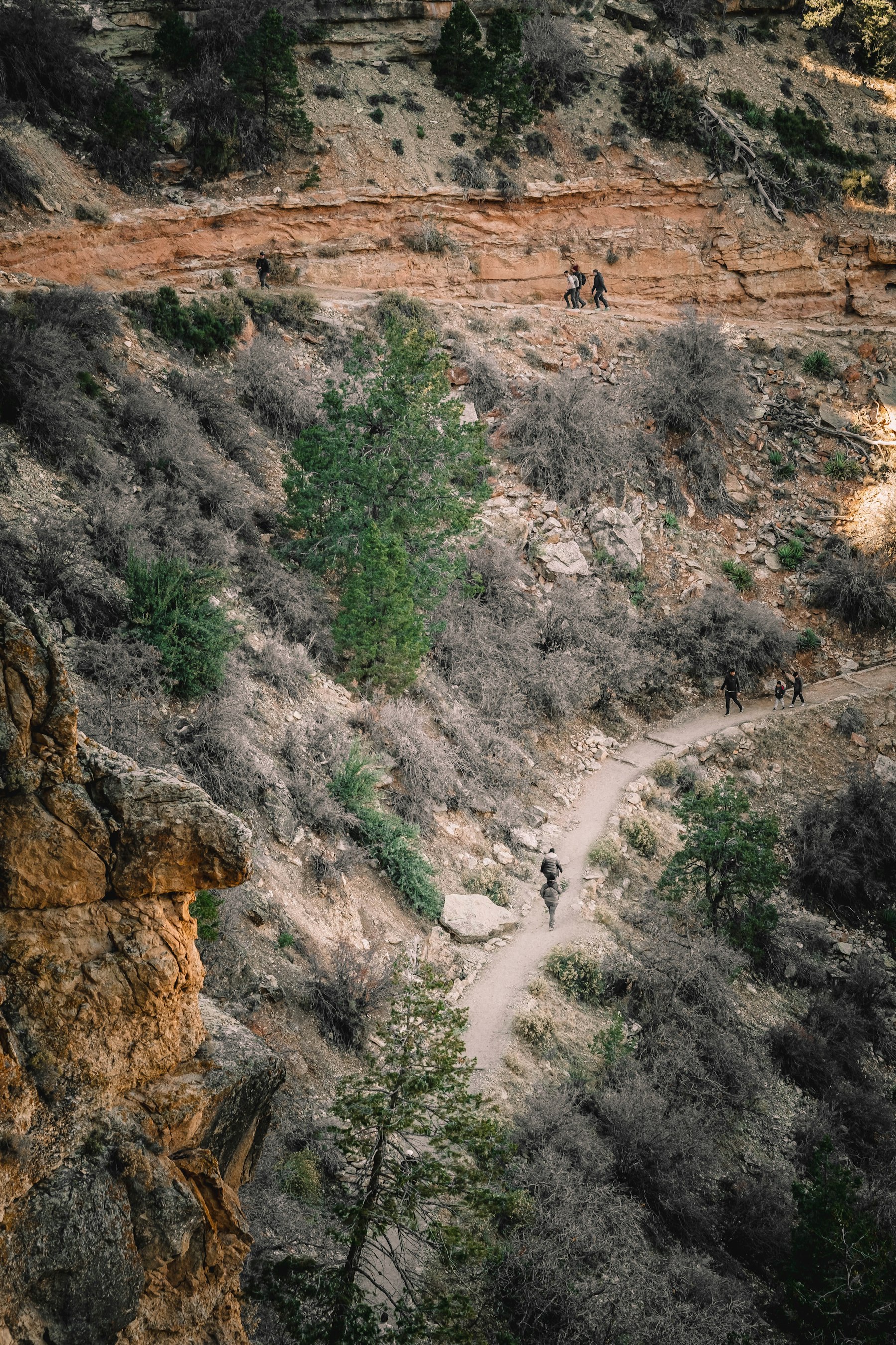 Hikers on a switchback trail descending below the rim of the Grand Canyon