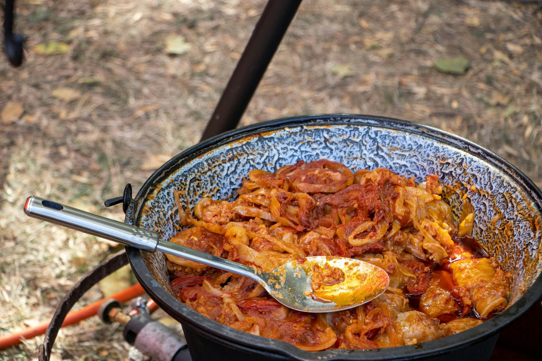 A bowl of red paprika stew with a spoon and a swirl of sour cream on top