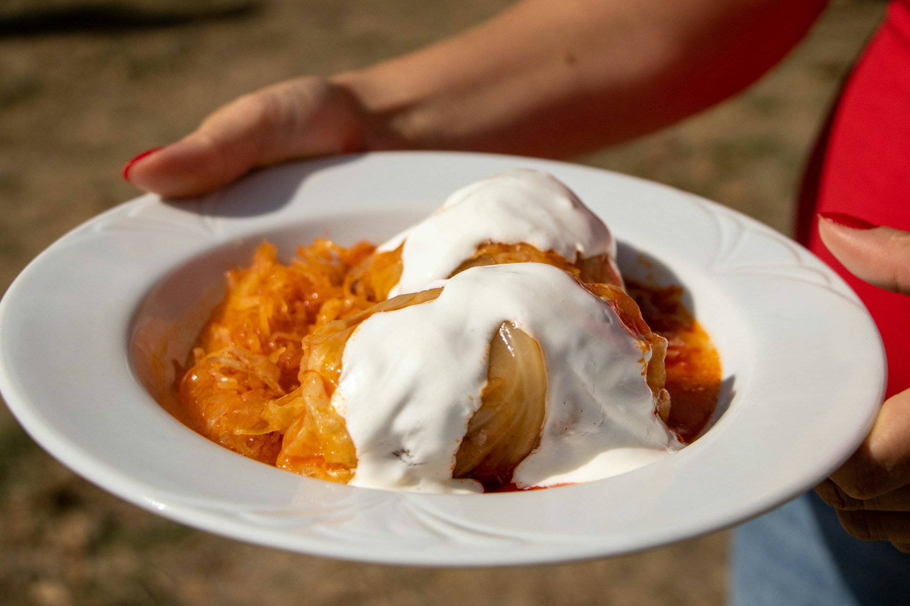 A white plate of stuffed cabbage rolls in red paprika sauce topped with a spoon of sour cream