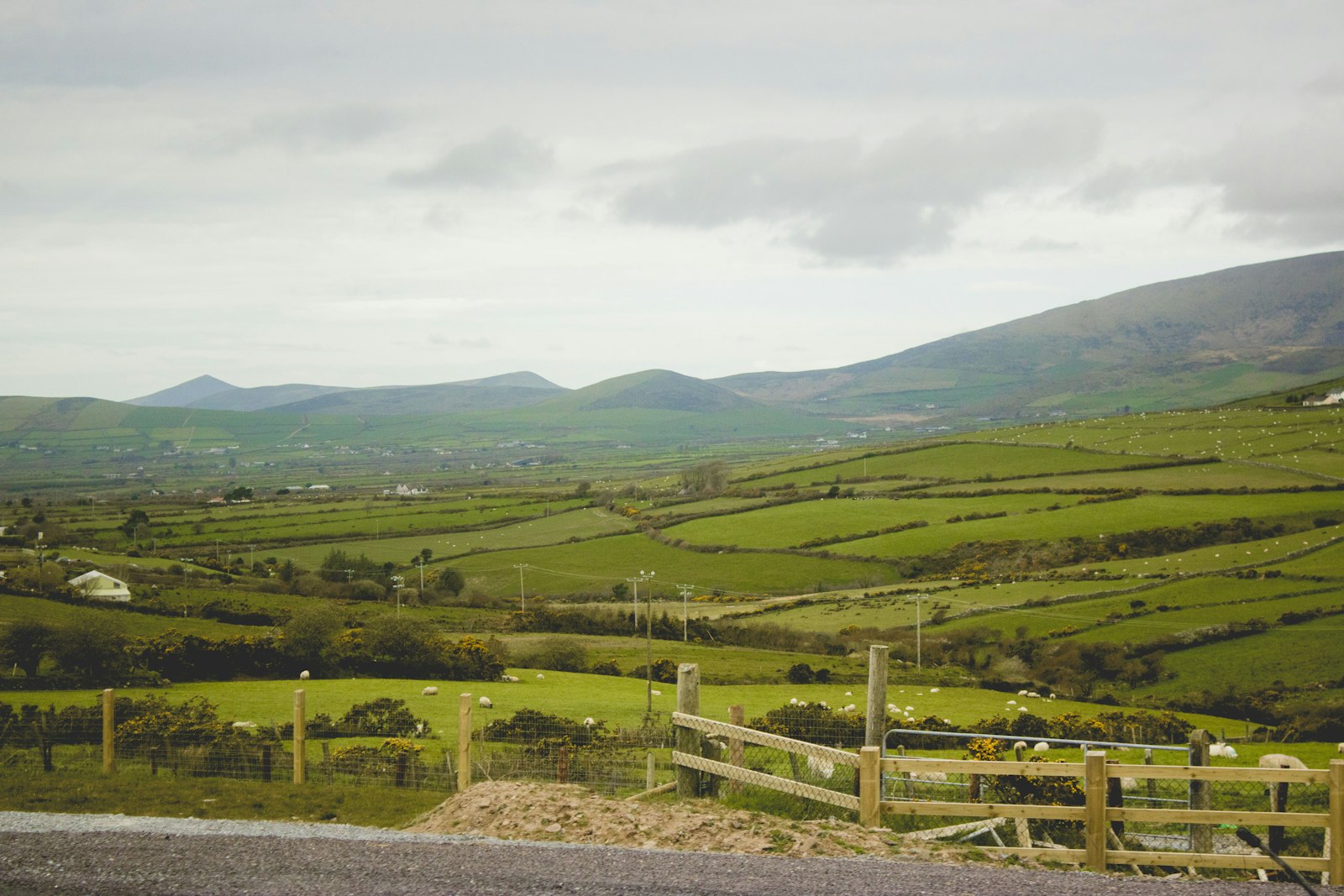 Green fields divided by stone walls and hedges running toward low hills under a cloudy sky