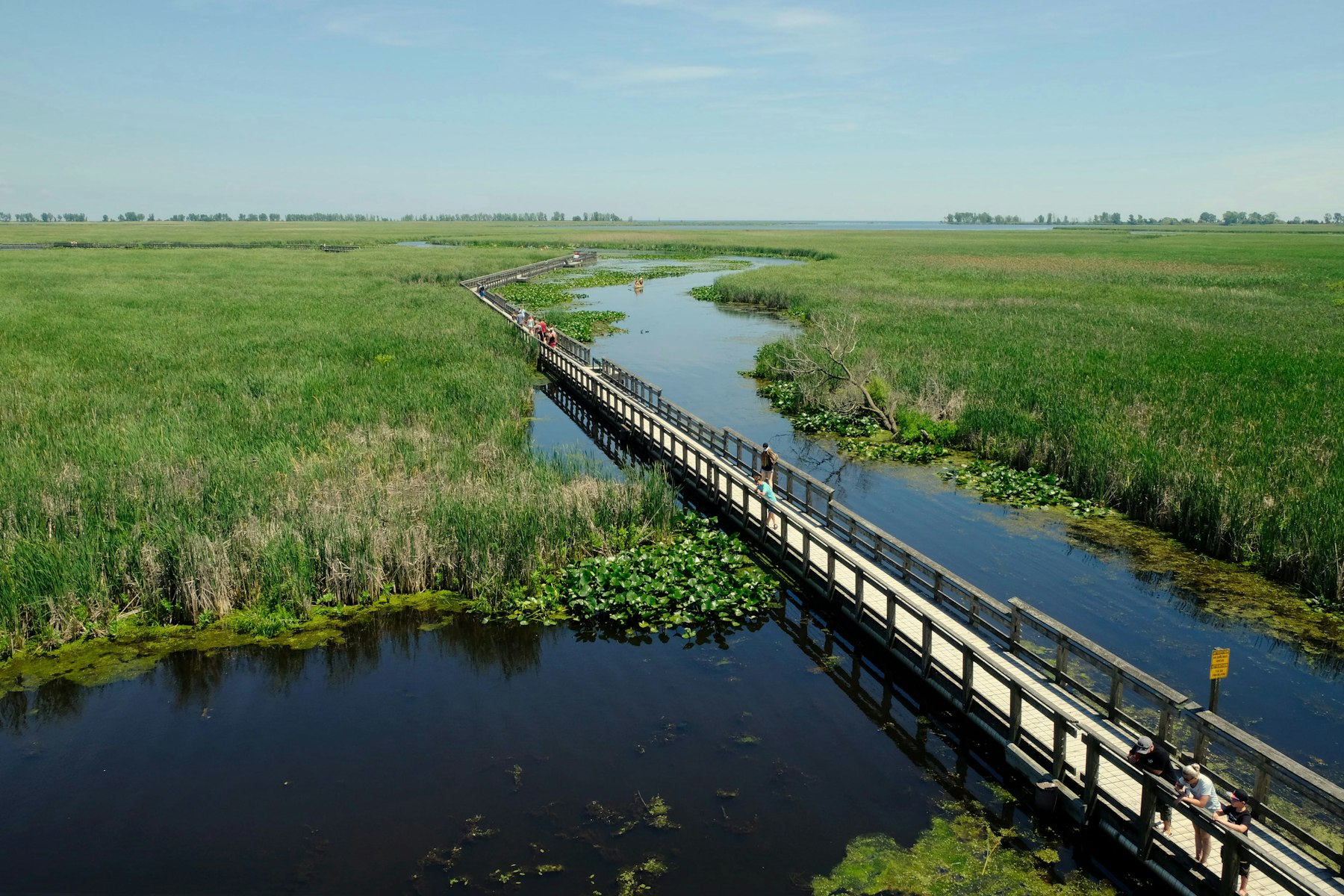 A wooden boardwalk running out across green Louisiana marshland