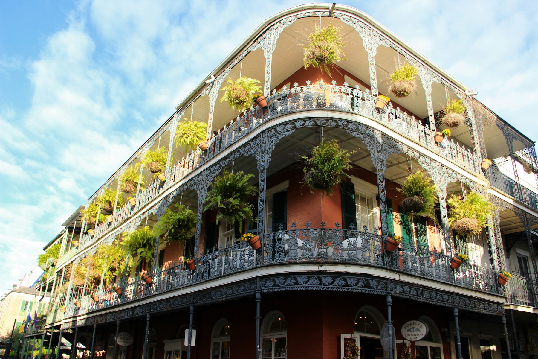 A wrought iron balcony hung with ferns on a French Quarter building in New Orleans Louisiana