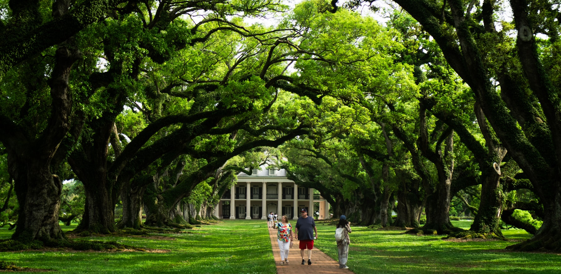 Visitors walking the oak lined path toward the big house at Oak Alley Plantation in Louisiana