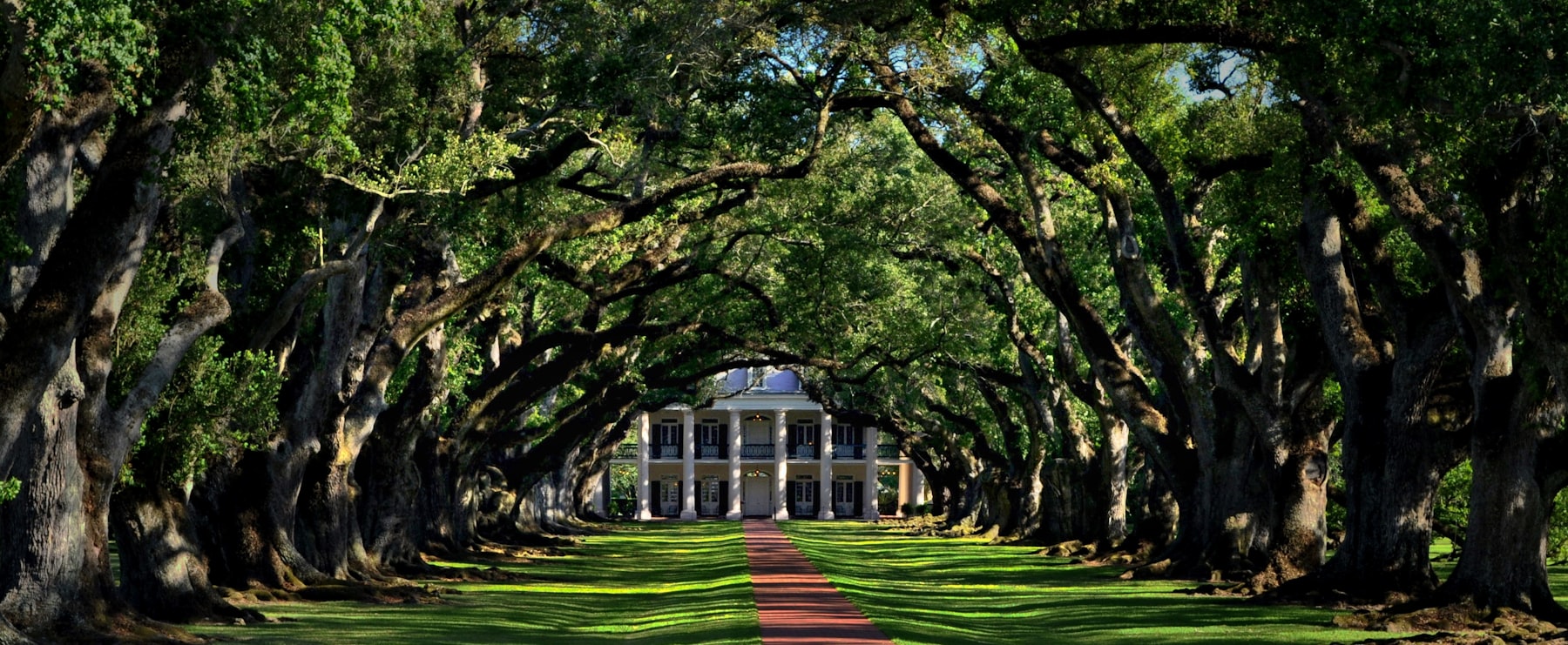 An avenue of live oak trees leading to a plantation house on the Louisiana River Road