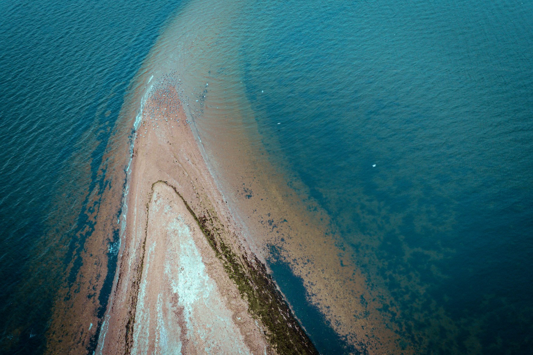 An aerial view of a curving sandbar and shallow turquoise water off the Cape Cod coast
