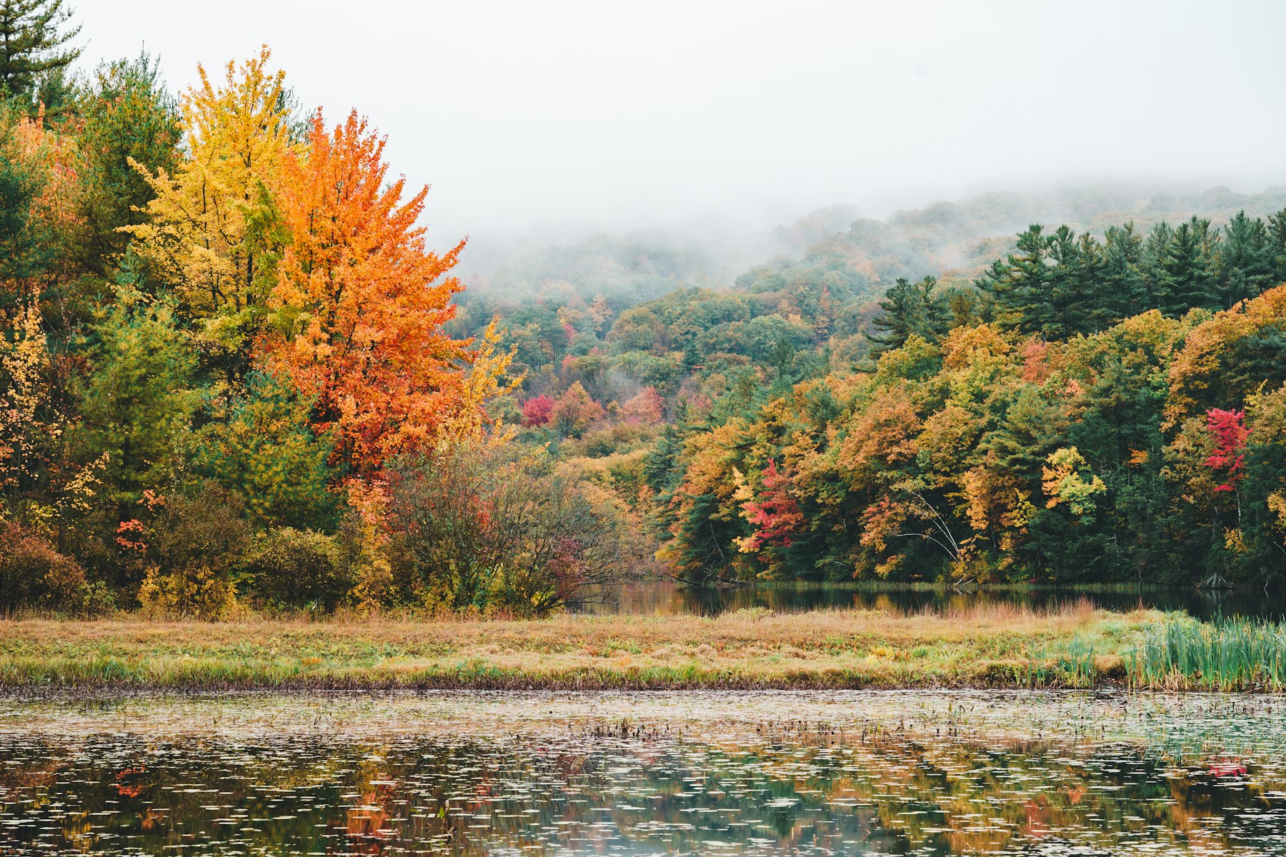 Autumn foliage in reds and golds surrounding a still lake in western Massachusetts