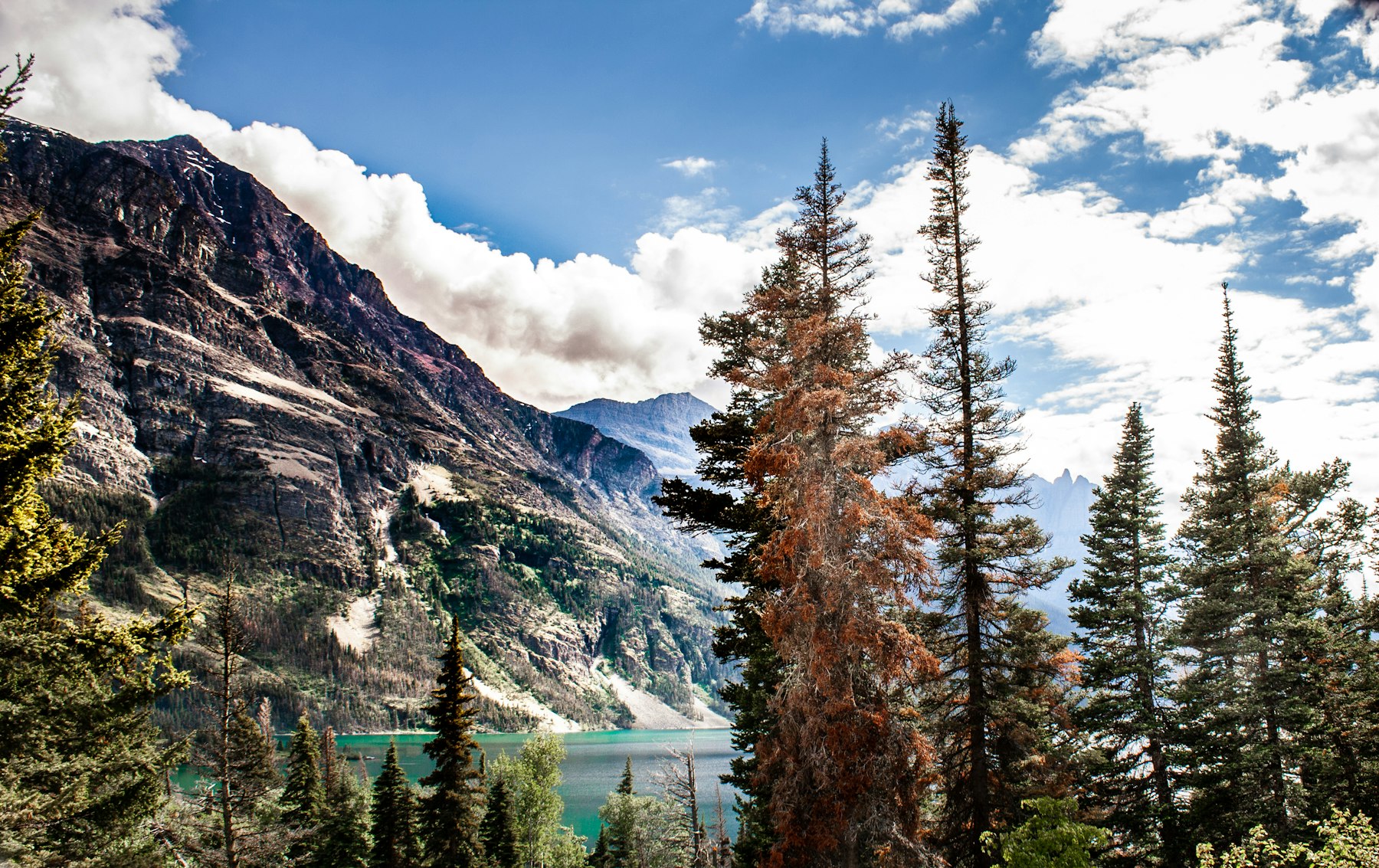 A quiet mountain lake framed by pine trees below rock walls in Montana