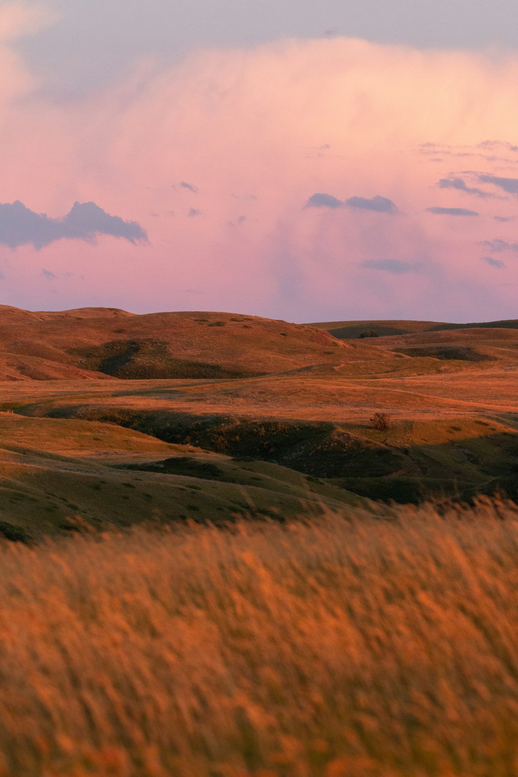 Rolling brown prairie grassland under a wide sky in eastern Montana