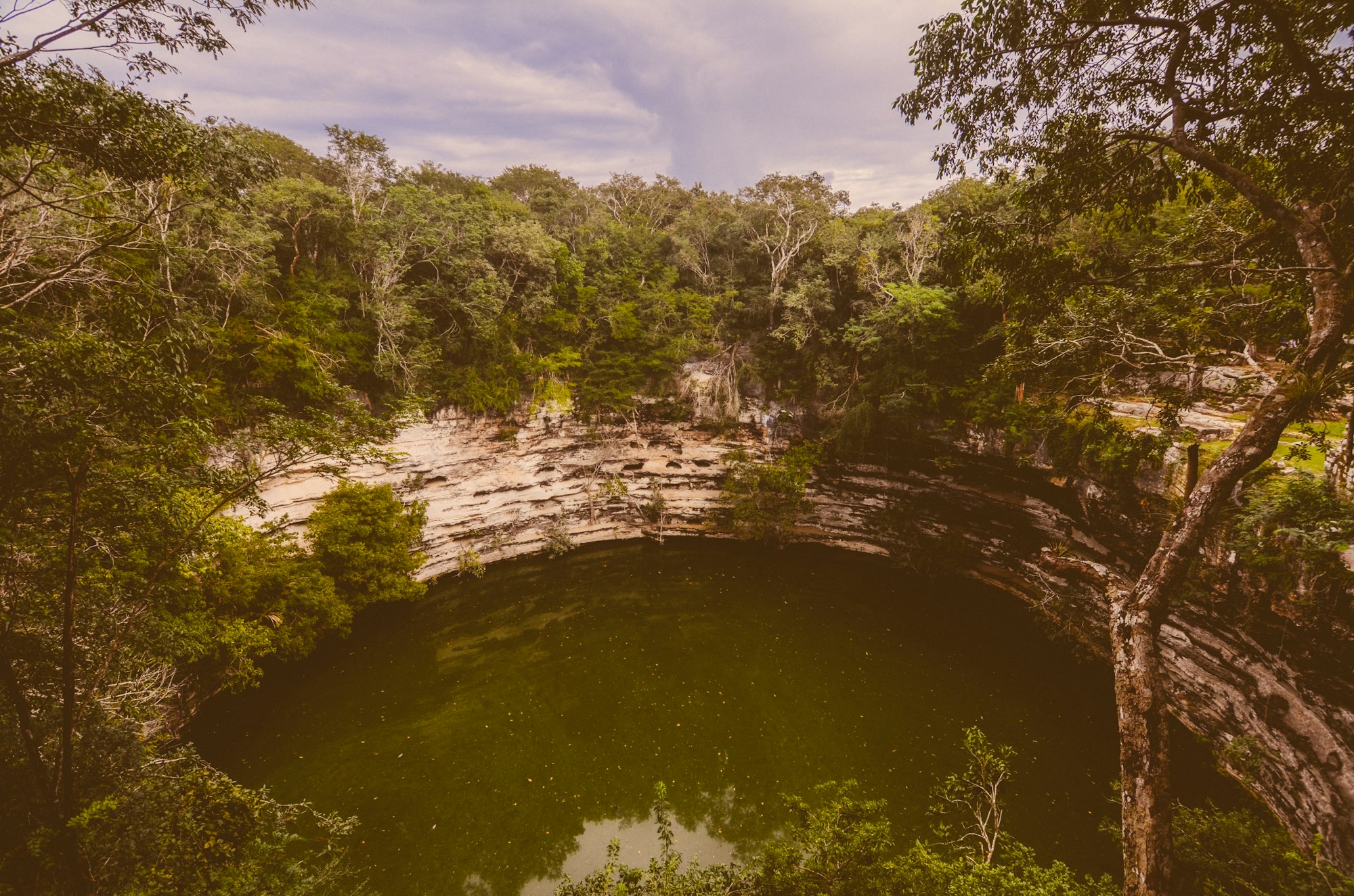 An open cenote sinkhole in the Yucatan jungle with clear green water below the rim