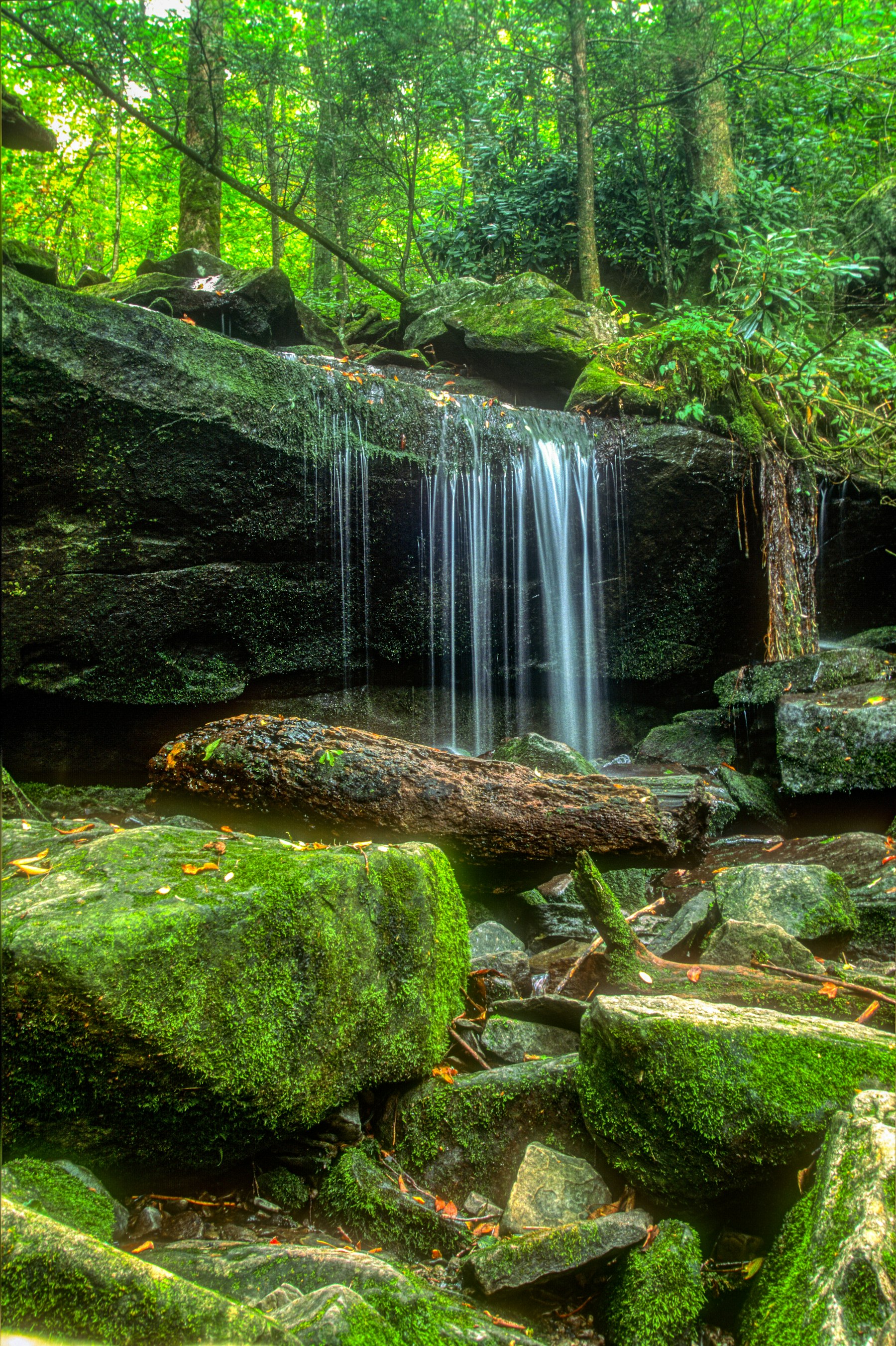 A waterfall falling over a mossy rock ledge into a green forest pool in the North Carolina mountains