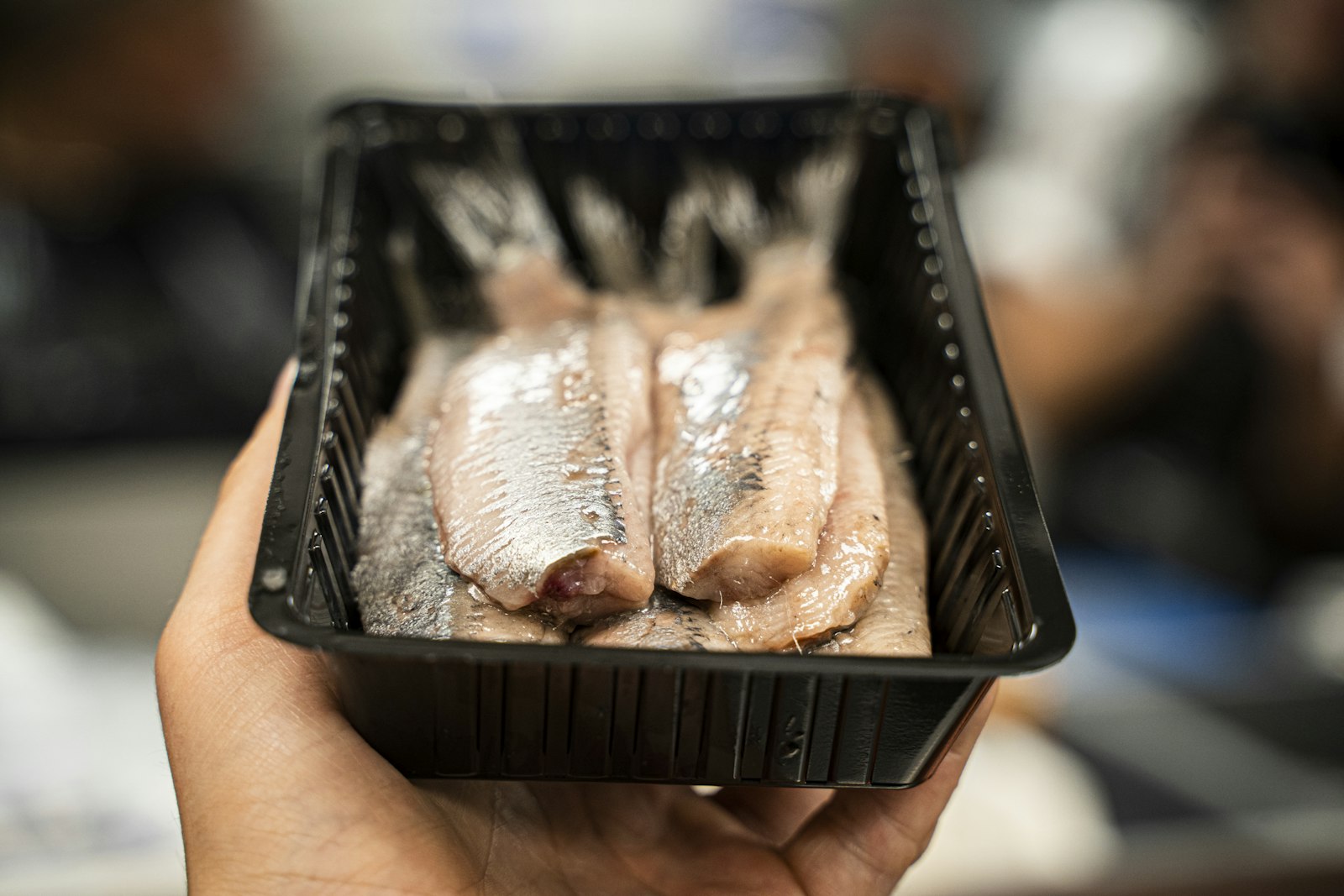 Fresh raw Dutch herring fillets in a tray held in one hand