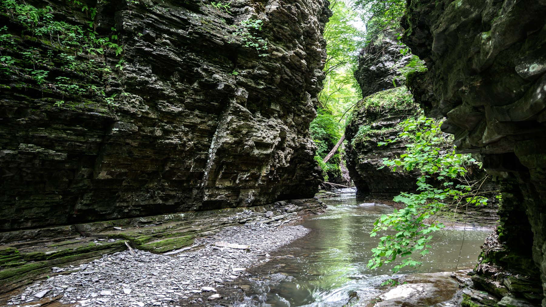 A stream running through a narrow rocky gorge with mossy walls