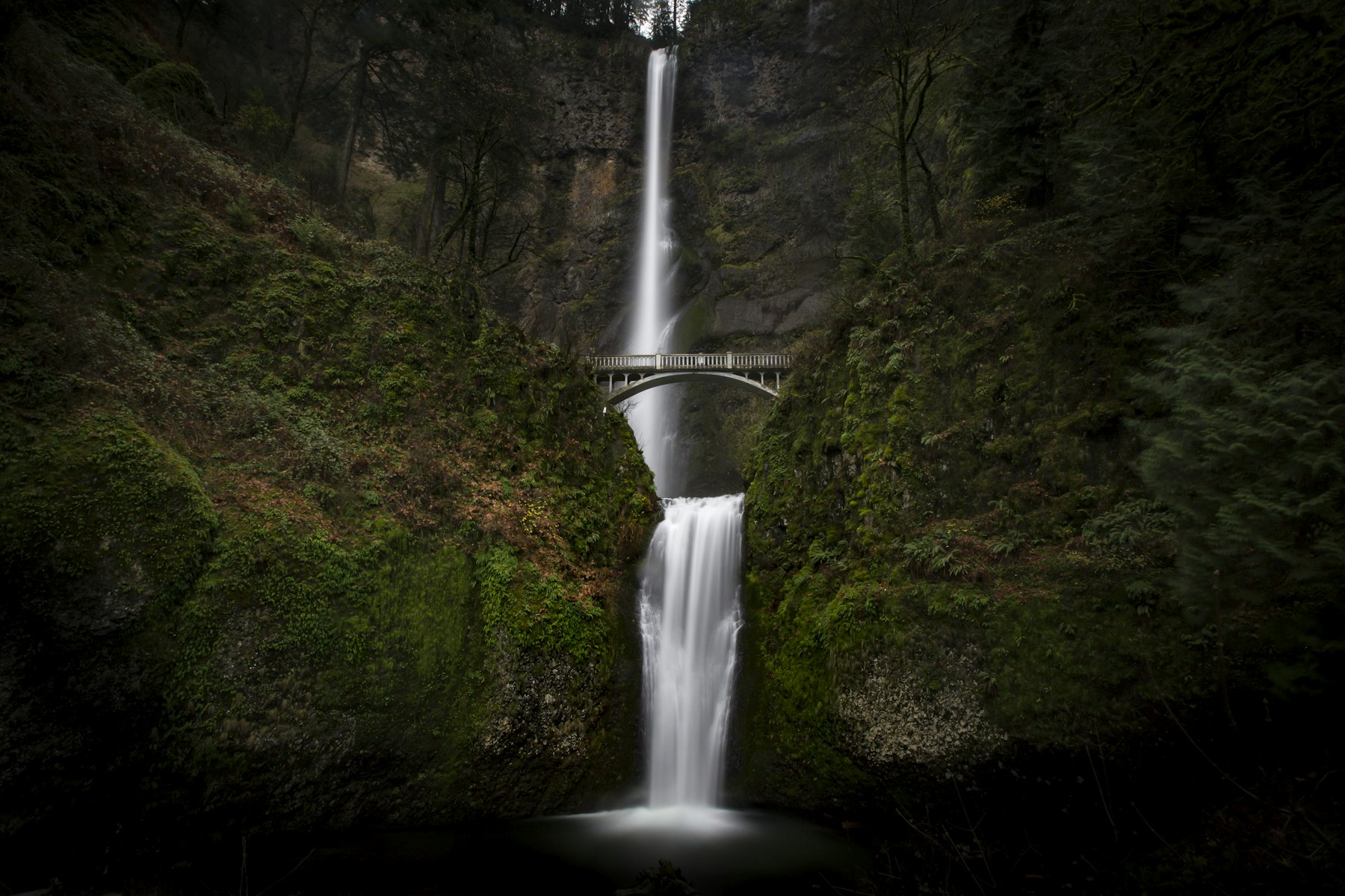 Multnomah Falls dropping past the Benson Bridge in the Columbia River Gorge Oregon