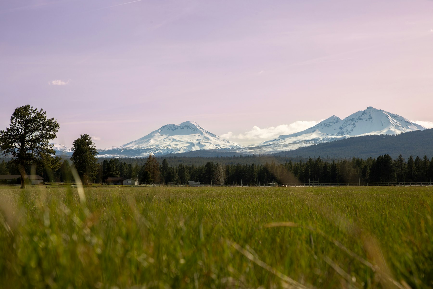 The snow capped Three Sisters peaks seen across a high desert field near Bend Oregon