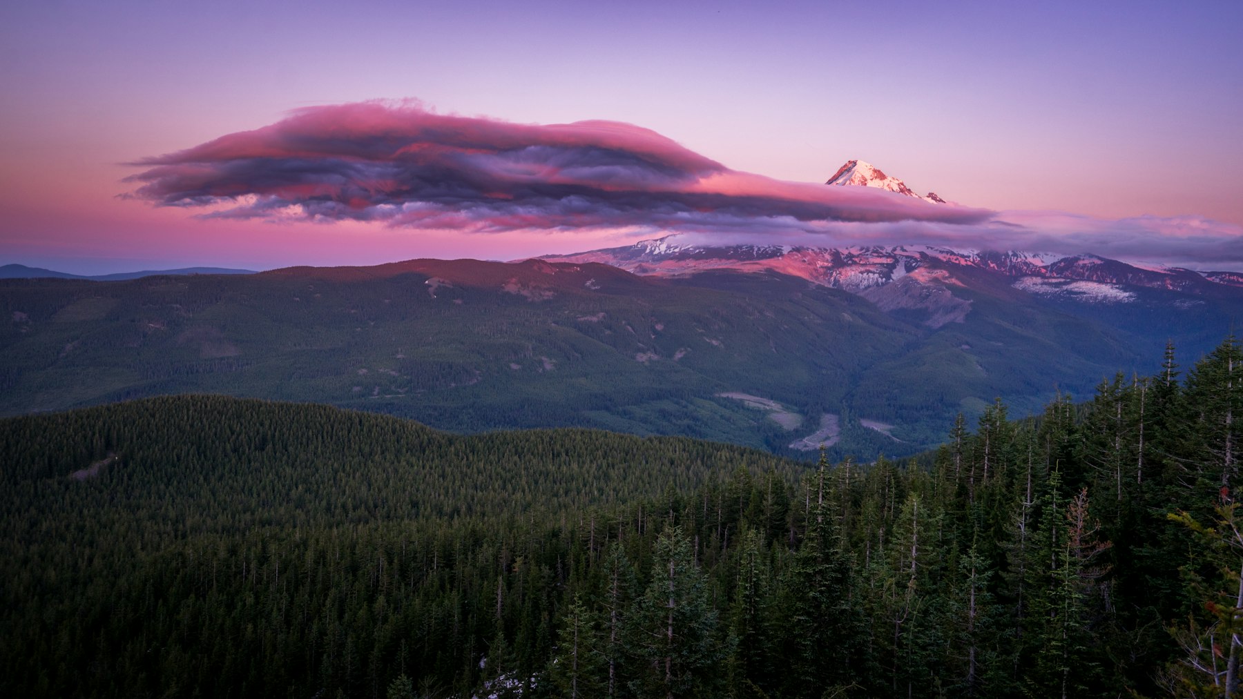 A pink lenticular cloud over Mount Hood Oregon at sunset