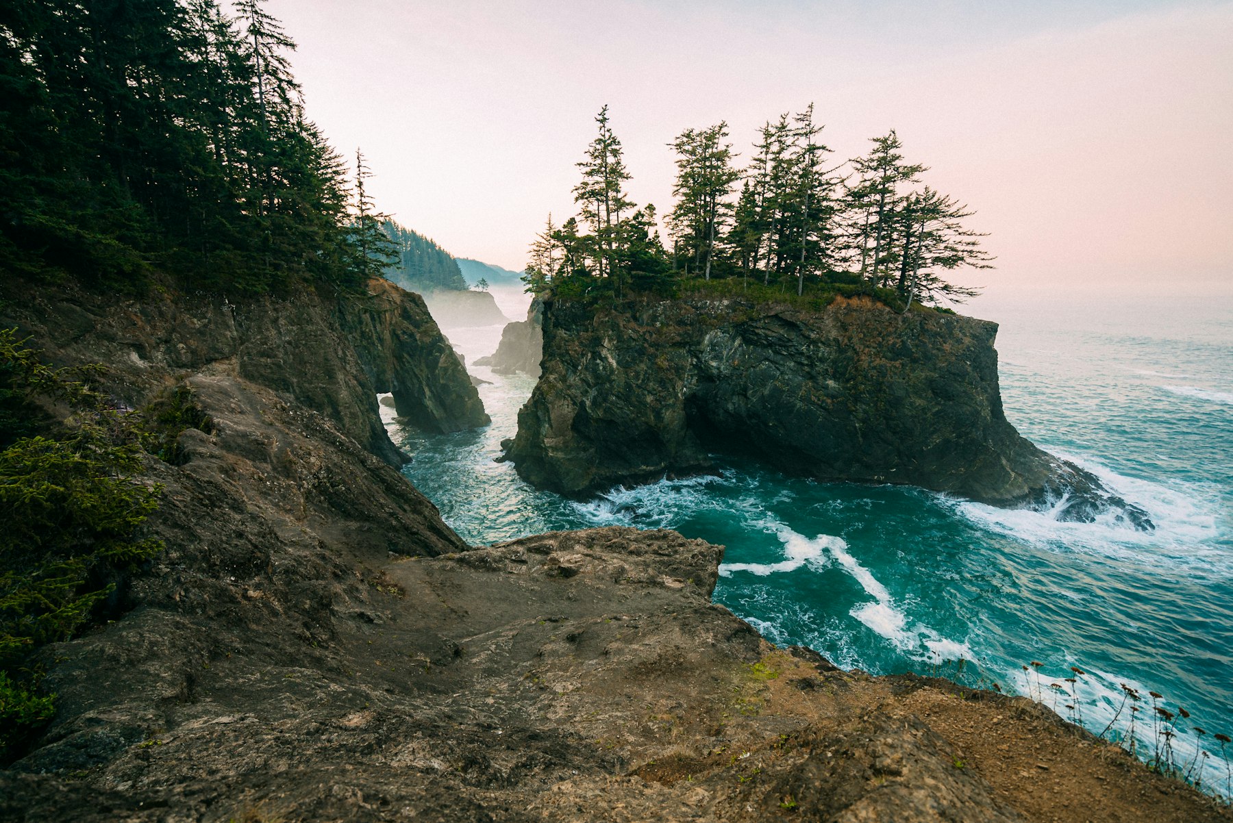 Sea stacks topped with trees along the rugged southern Oregon coast