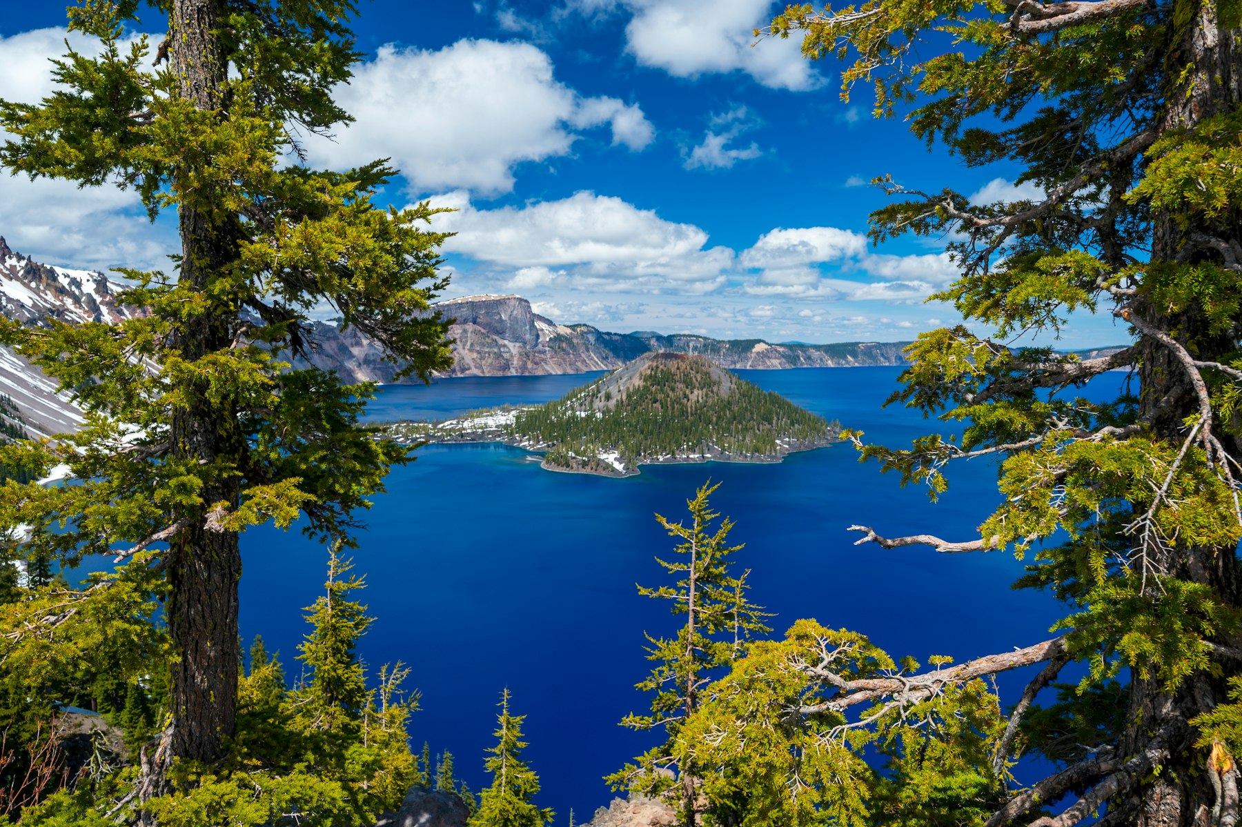 Crater Lake framed by pine trees with Wizard Island in the distance