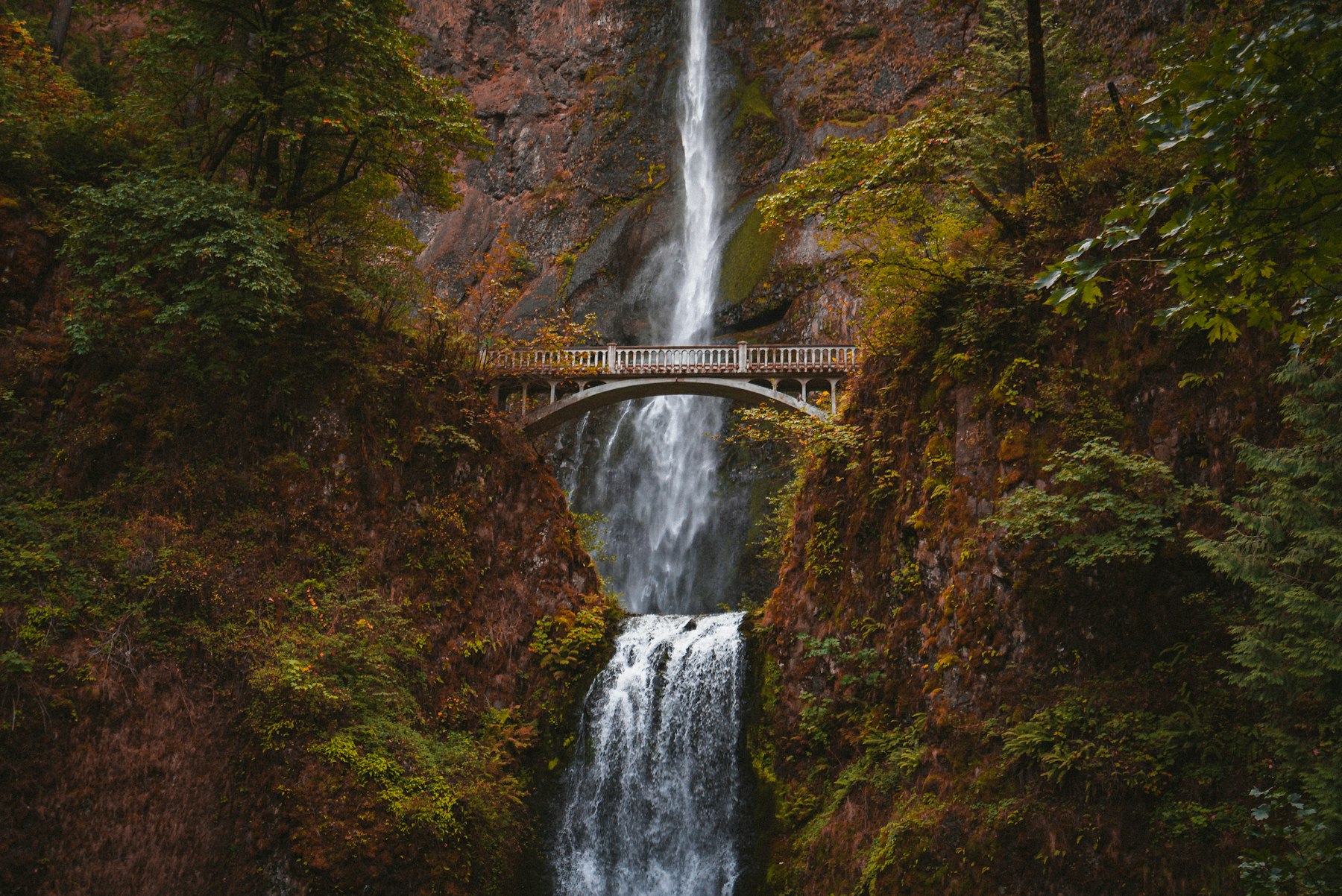 Multnomah Falls and the Benson Bridge surrounded by autumn foliage in the Columbia River Gorge