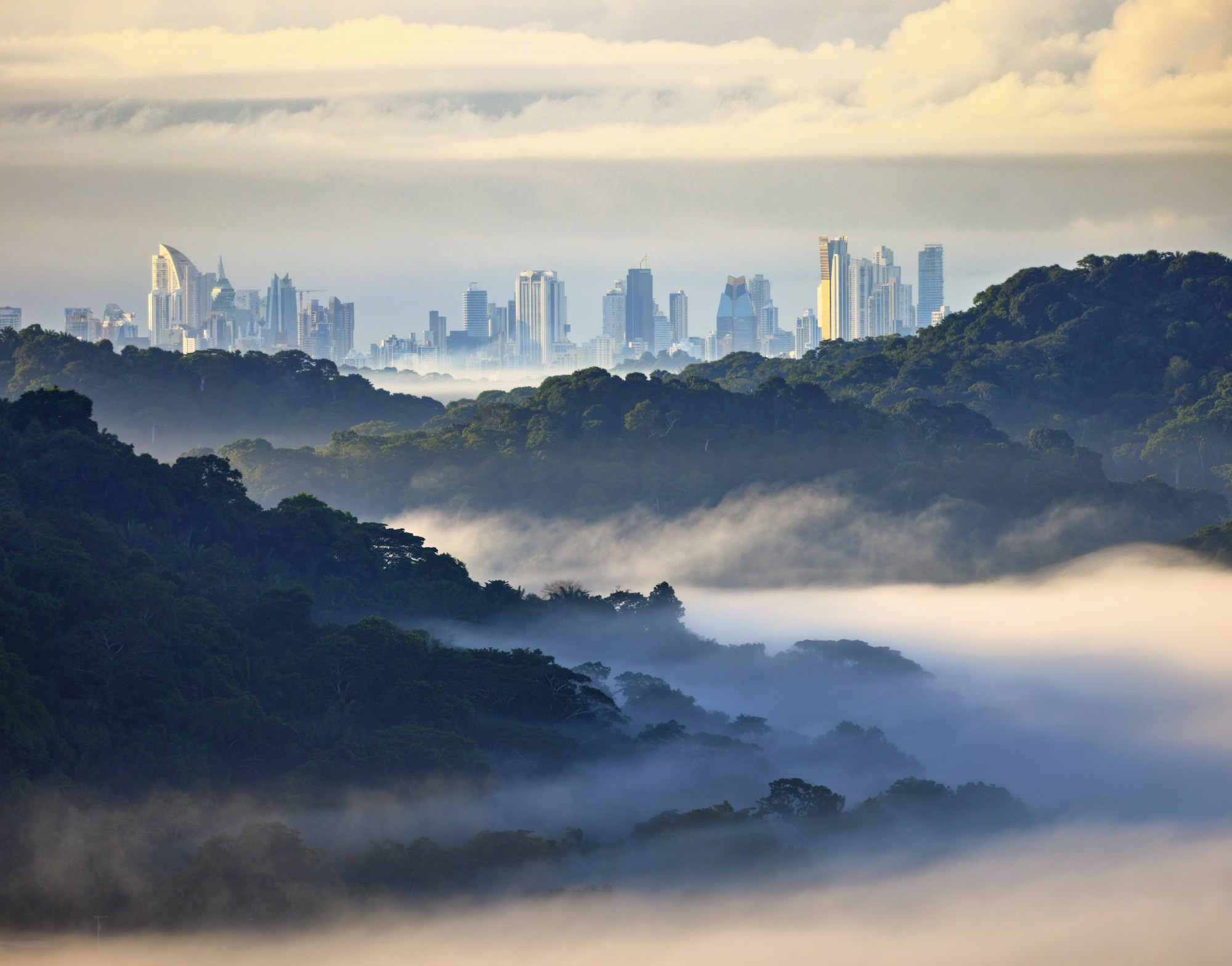 Rainforest along the Panama Canal with the city towers in the distance